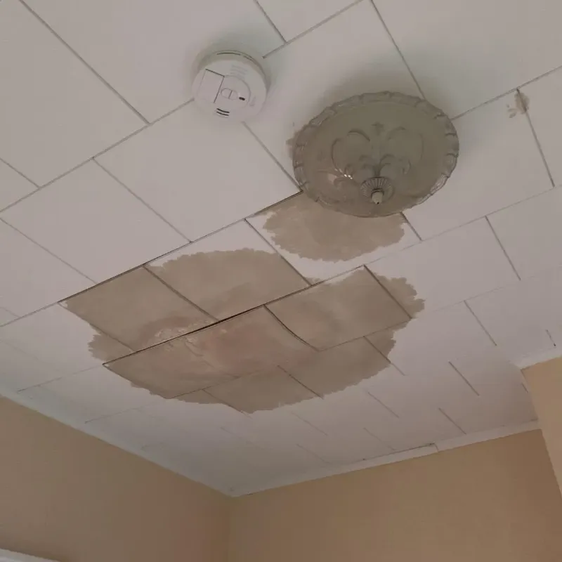 Ceiling Water Damage Repair in La Villa, TX