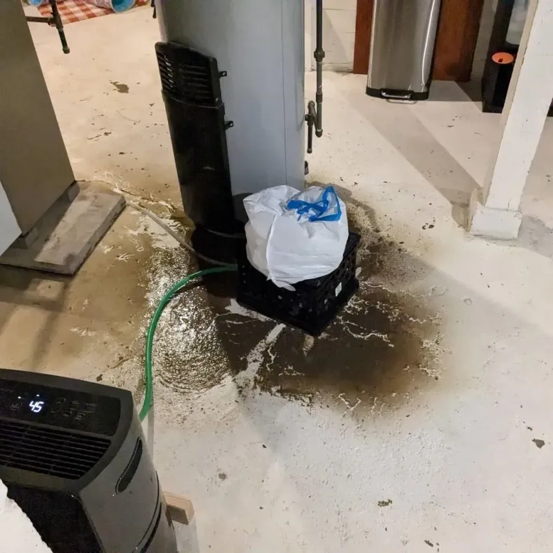 Sewage Backup Cleanup Service in La Villa, TX